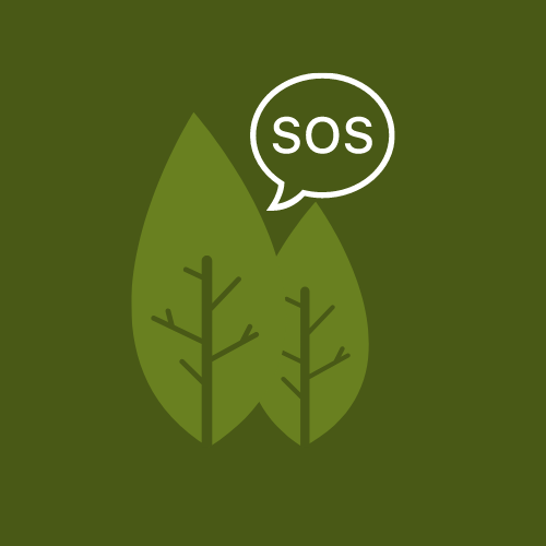 SOS AMAZON avatar