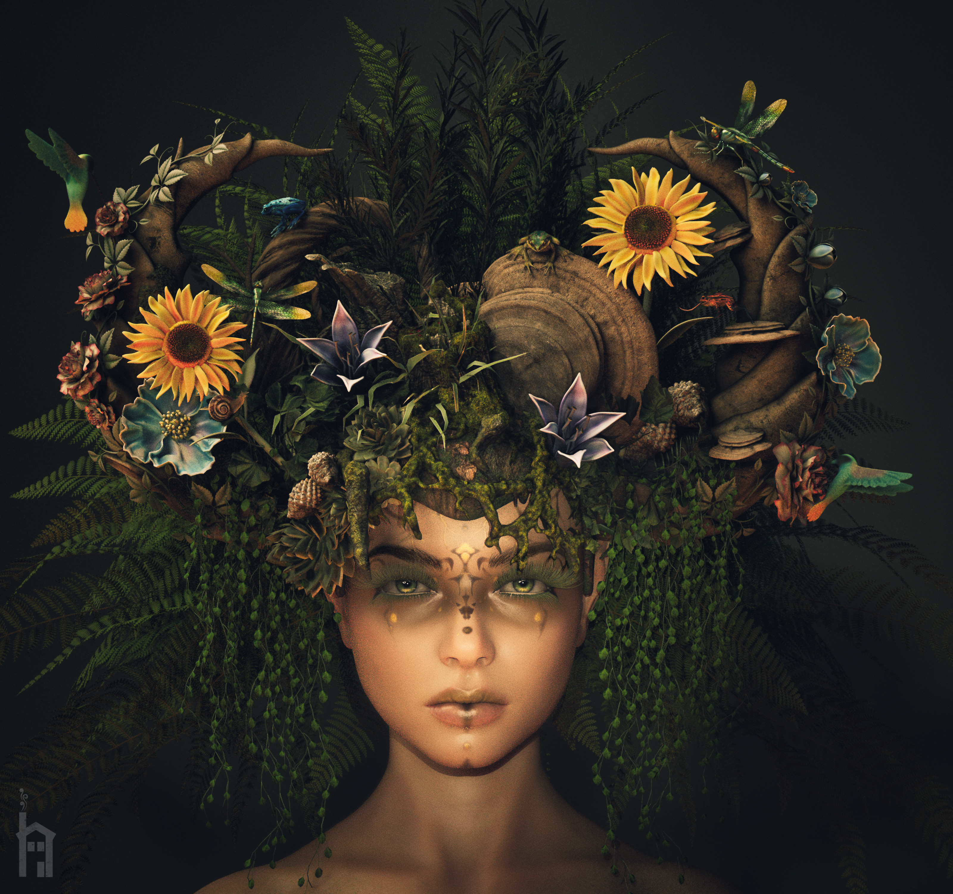 Xashil avatar