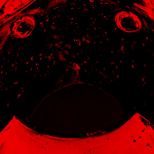 GT Loco avatar