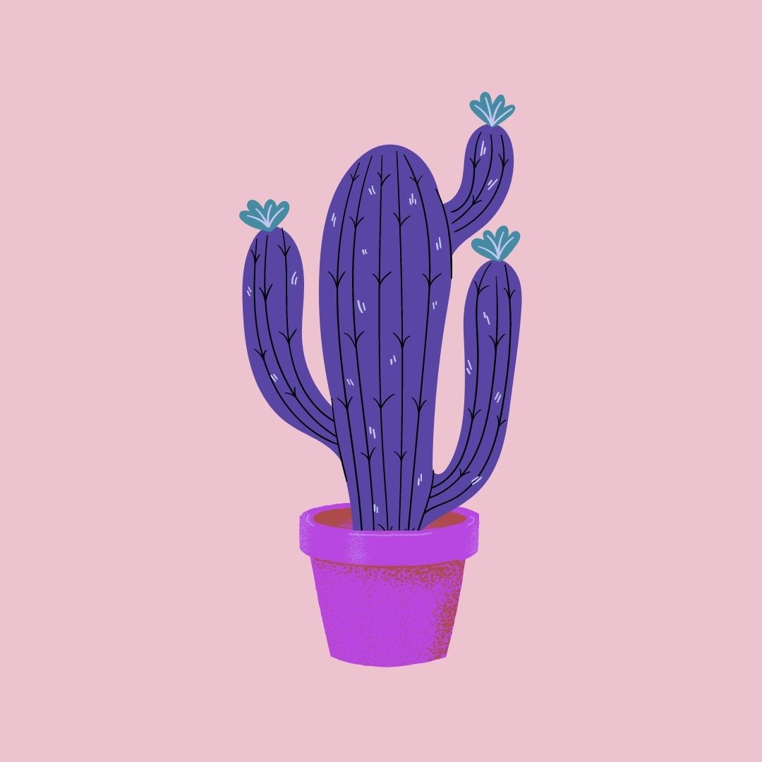 Xiubai avatar