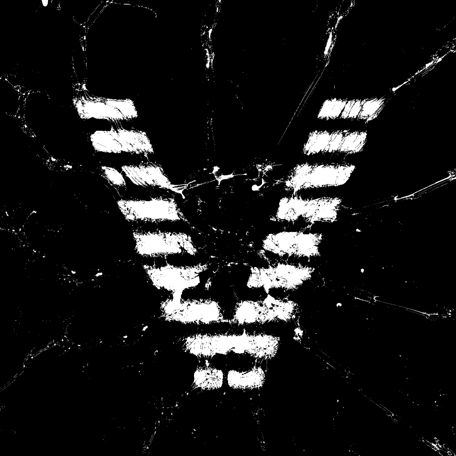 vectorz3r0 avatar