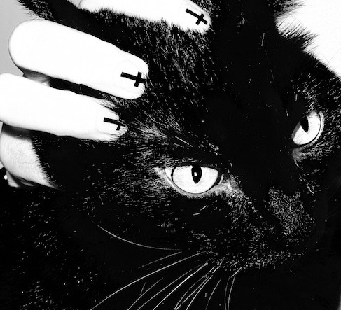 Setta Studio avatar