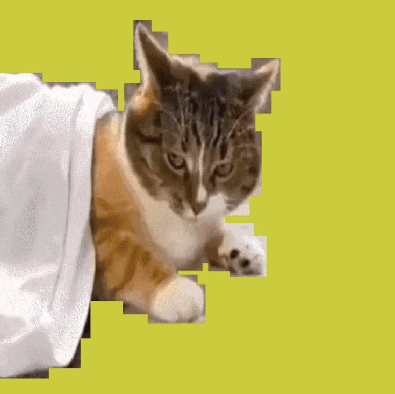 tz1TCSUn…56KrQr avatar