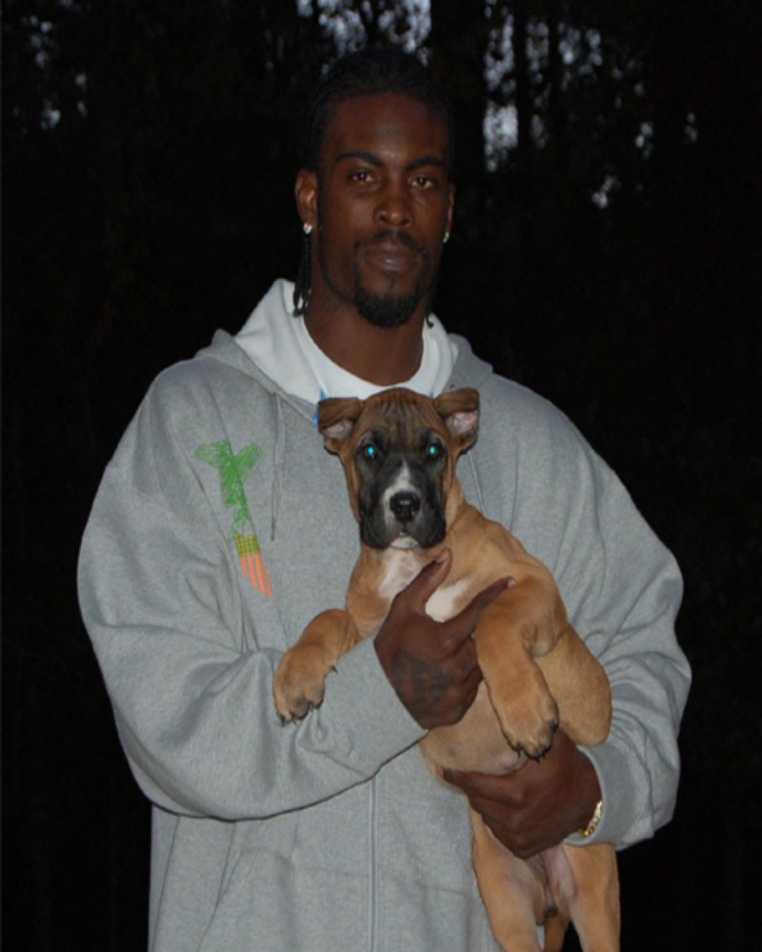 Bringbackdogfighting avatar