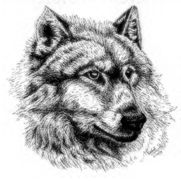 akella avatar