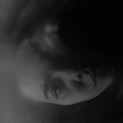 gaybes avatar