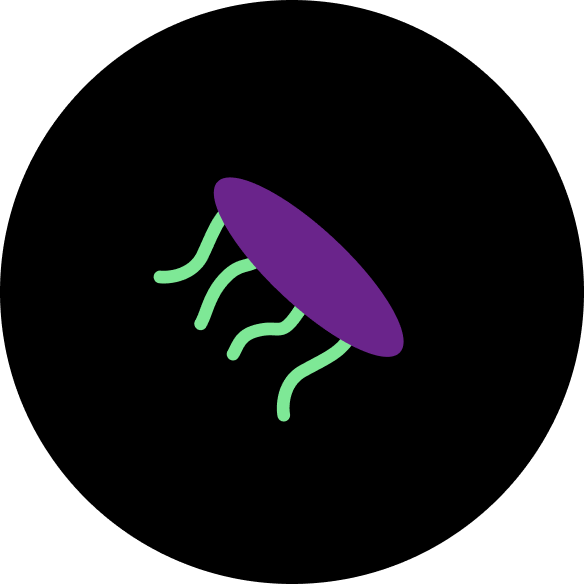 vitteo avatar