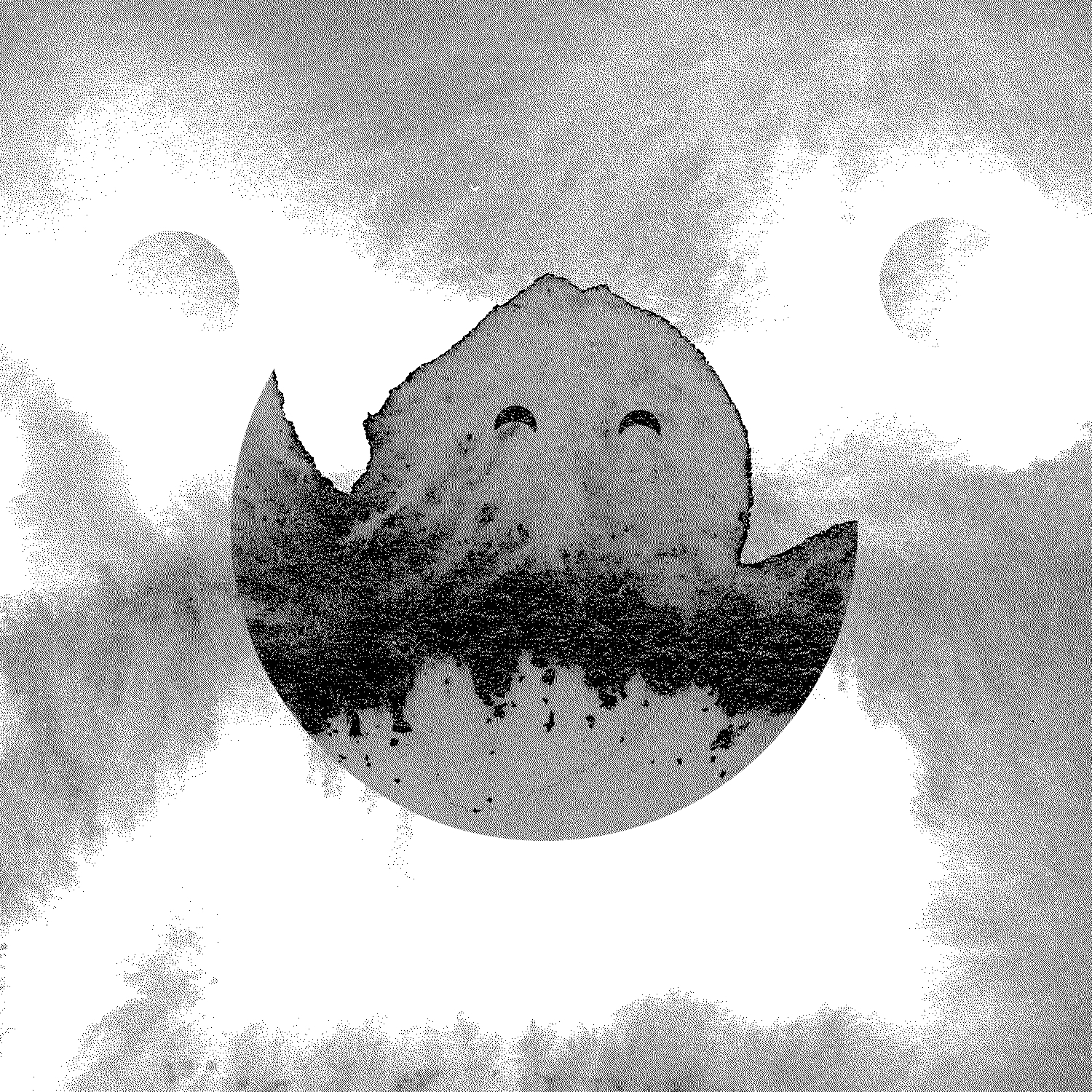 iamseancorcoran avatar