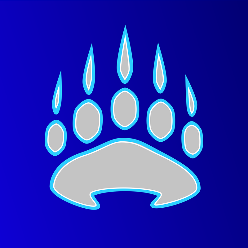 Lazer Bear Studio avatar