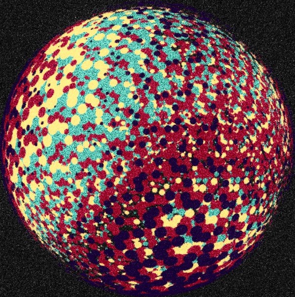 Westgen avatar
