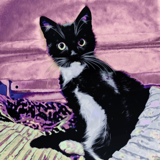 Tezkitty avatar