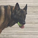 bdunk887 avatar