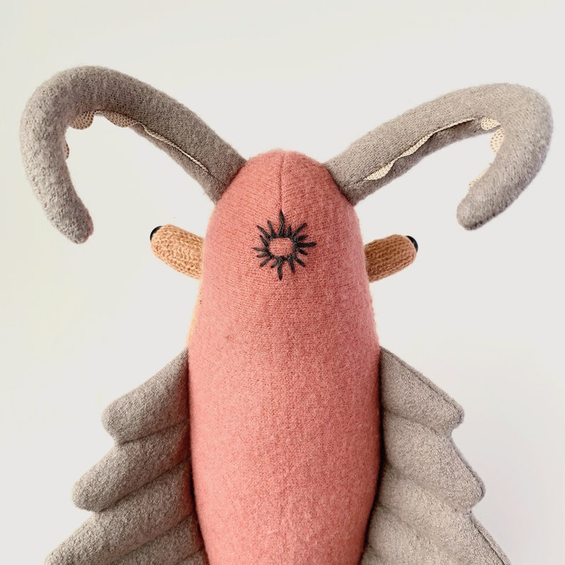 Pompon avatar