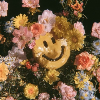 publicdmnvenus avatar