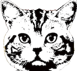 Bully Meow avatar