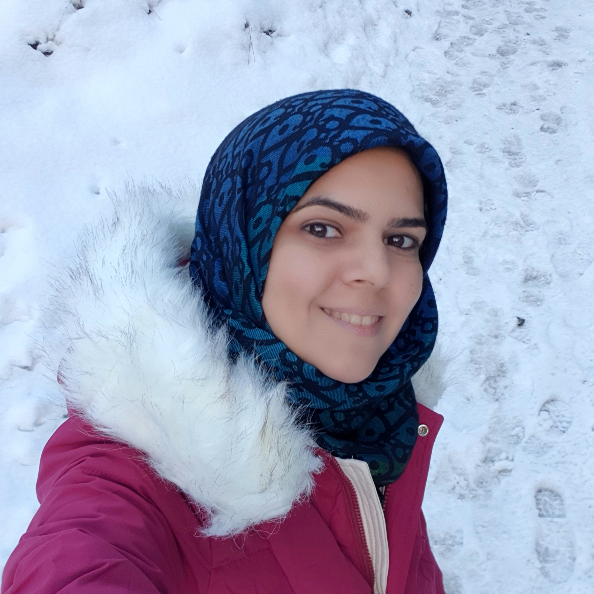 ZahraAbedini avatar
