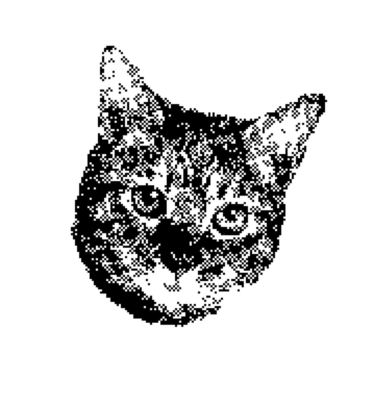 Gille de bast avatar