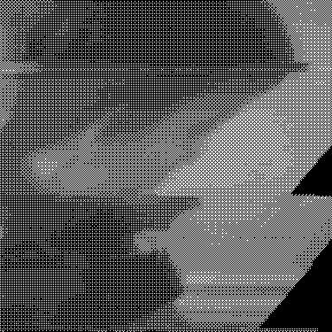 b͓̽i͓̽r͓̽d͓̽s͓̽i͓̽n͓̽t͓̽h͓̽e͓̽m͓̽o͓̽r͓̽n͓̽i͓̽n͓̽g̽ avatar