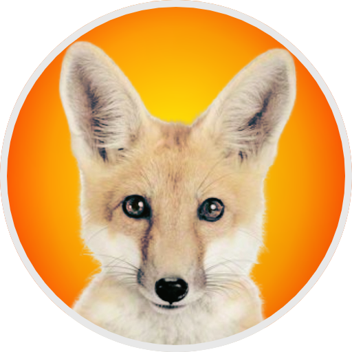 andre avatar