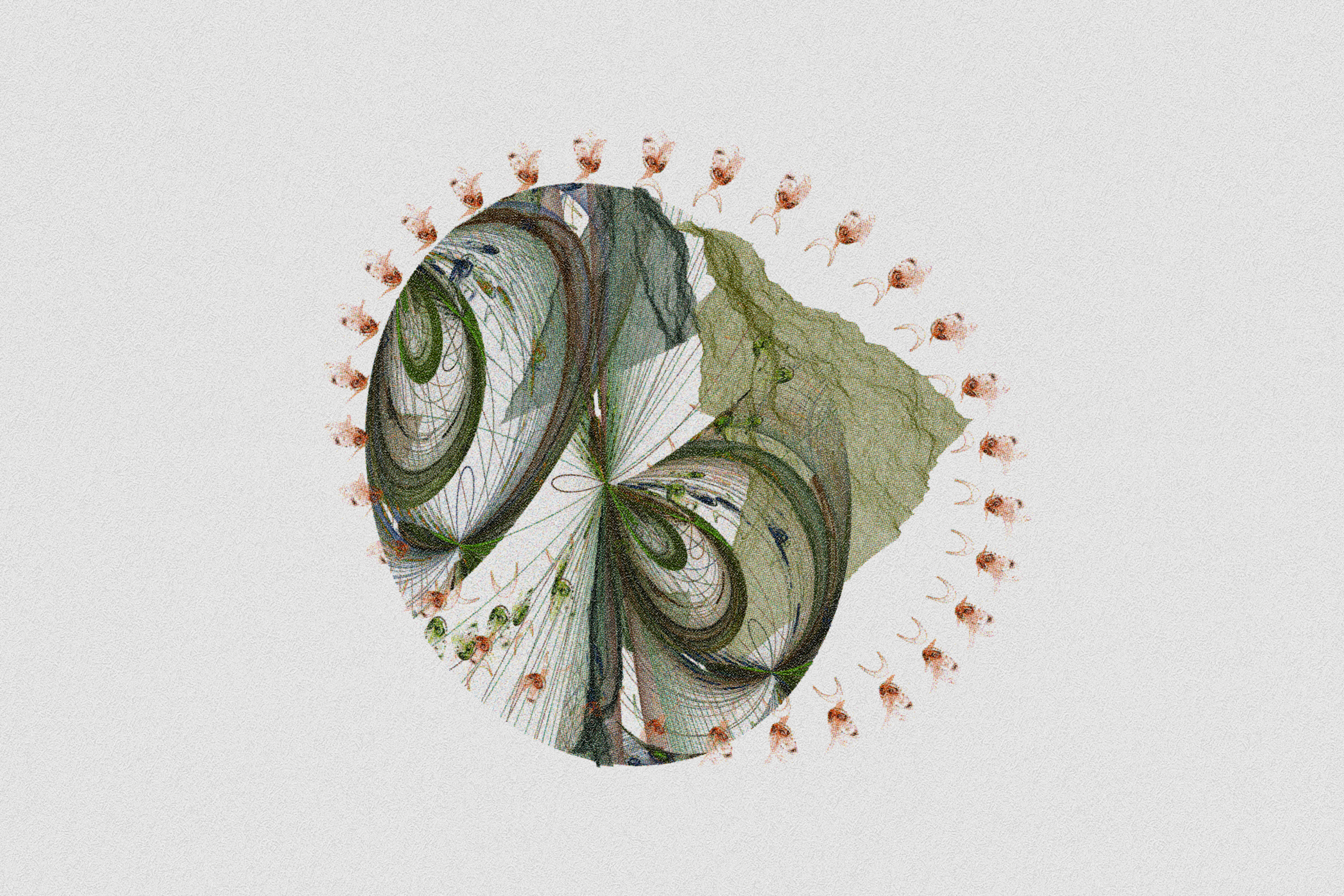 auranism avatar