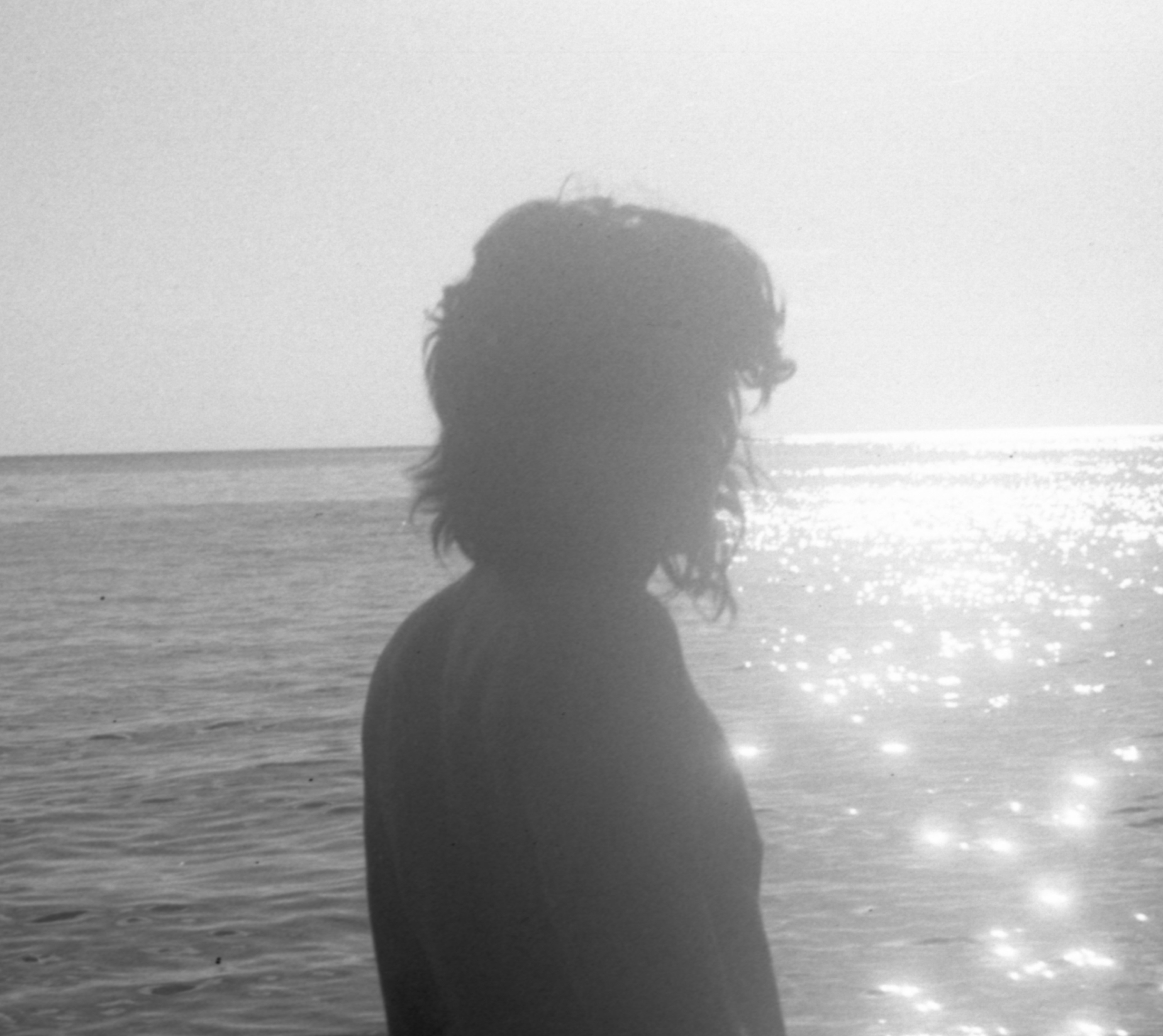 icelims avatar