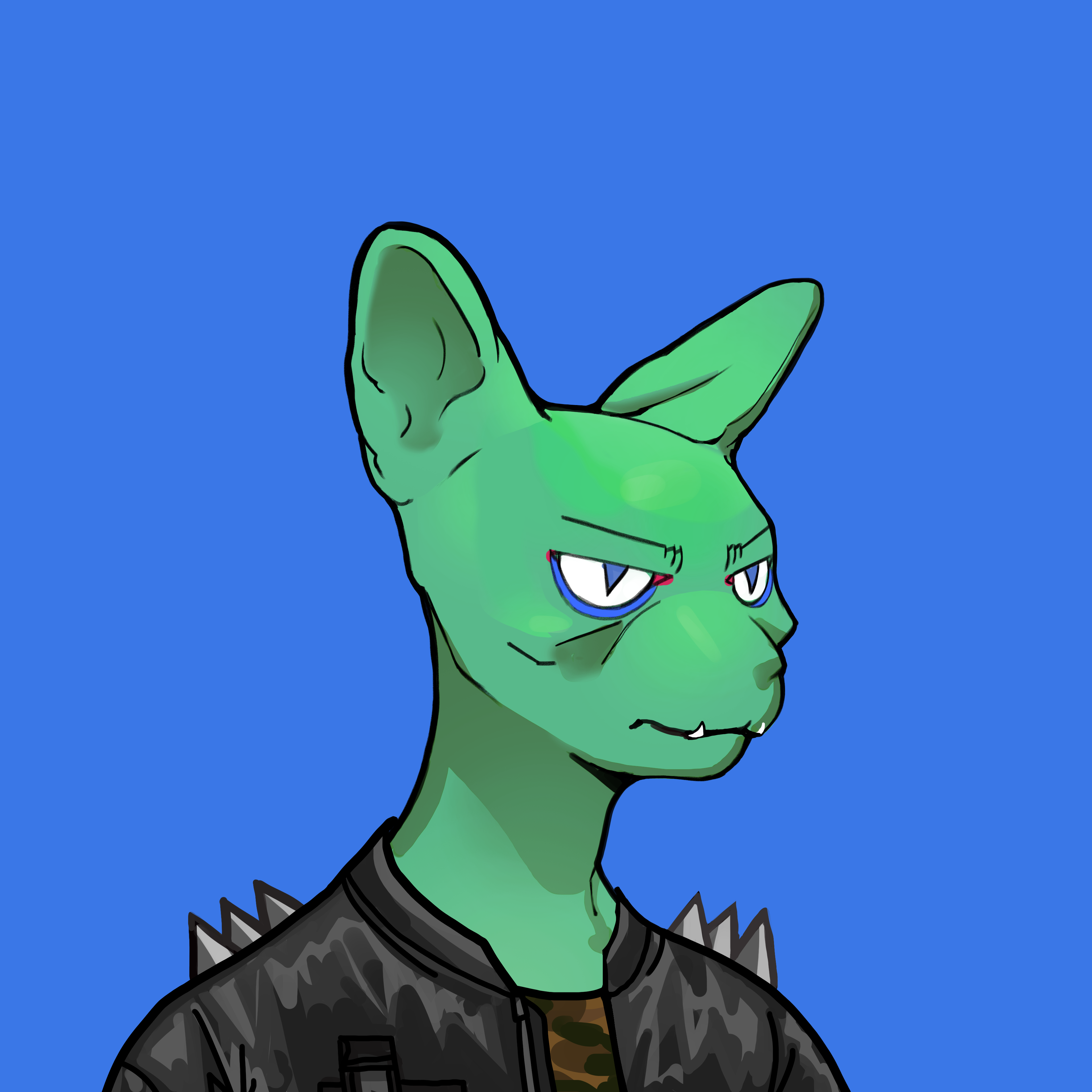 Boston 450 avatar