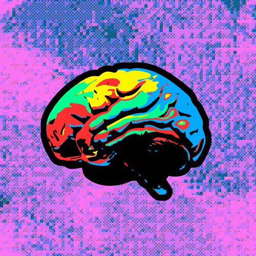 neurocolor avatar