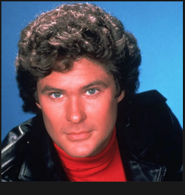 hasselhoff avatar