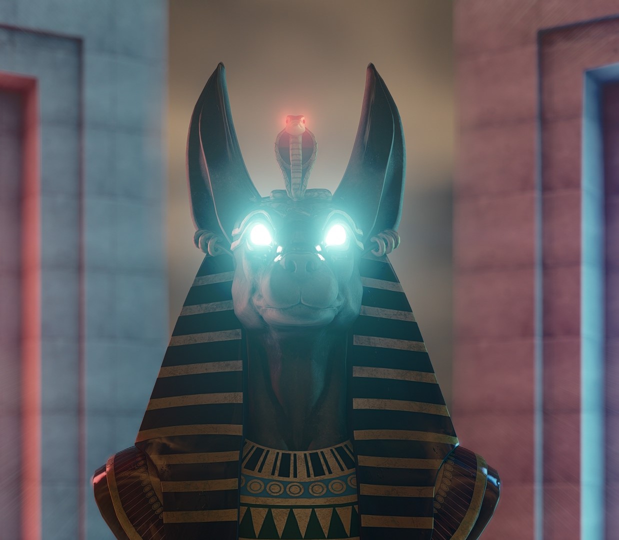 NimaNikar avatar
