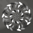 WootScoot avatar