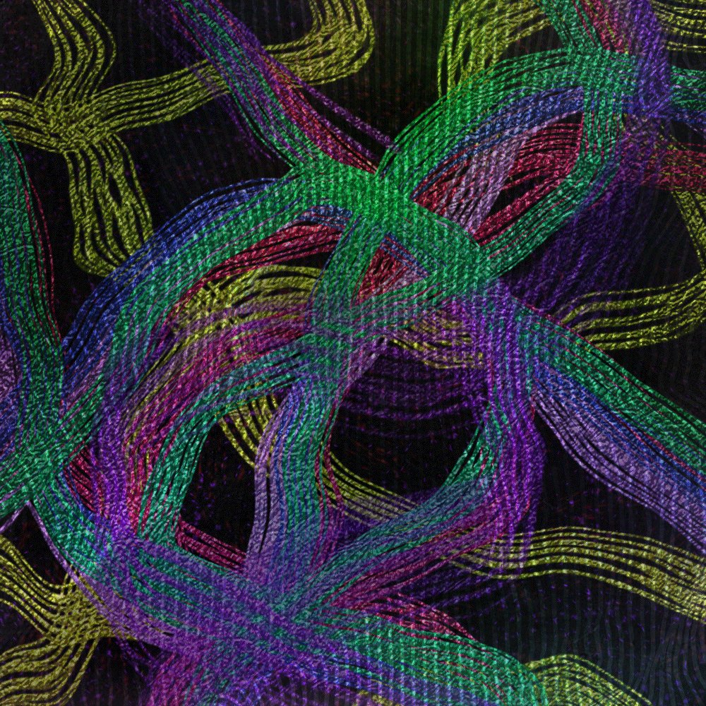 xurtsi avatar