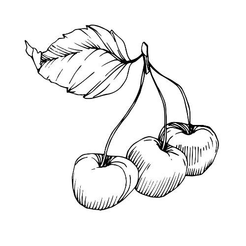CherryPicks avatar
