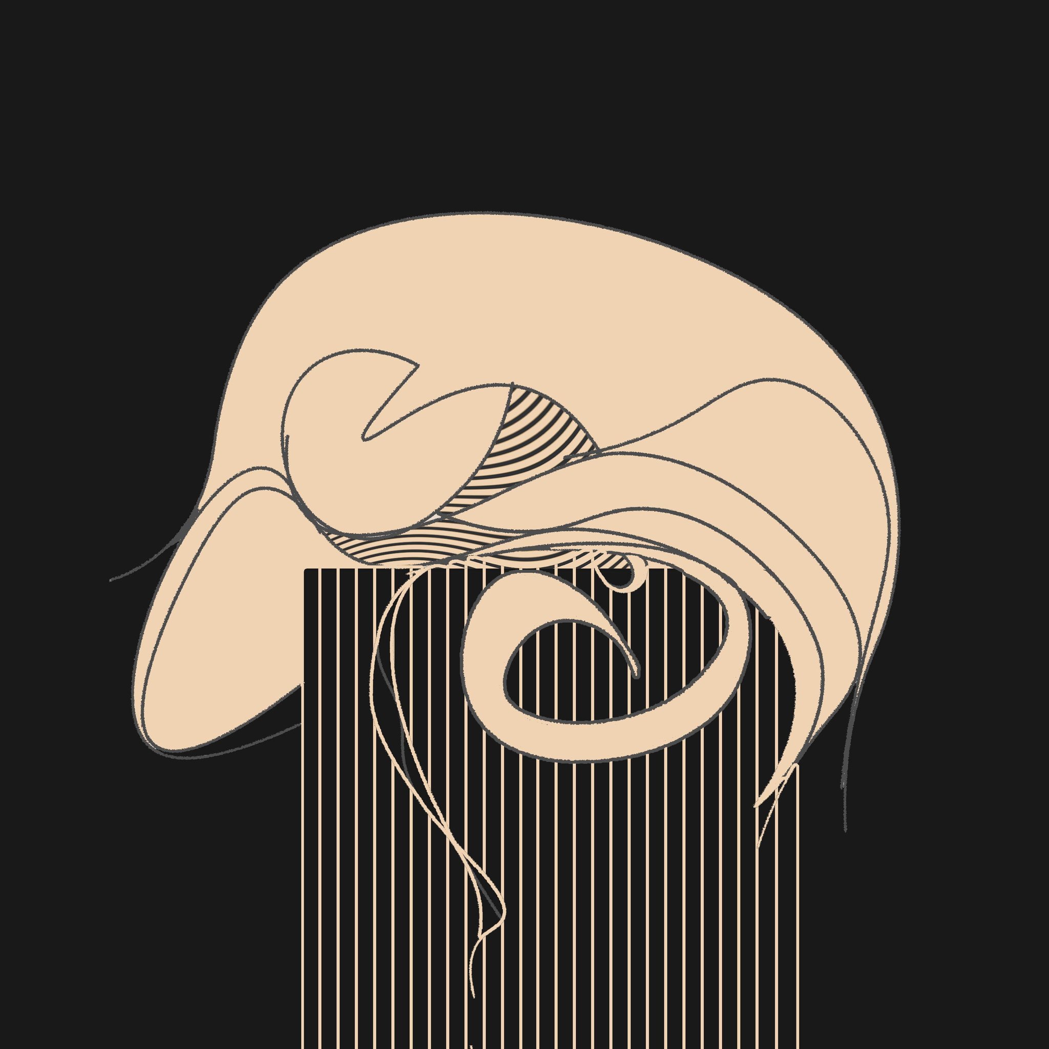 zolfaqqari avatar