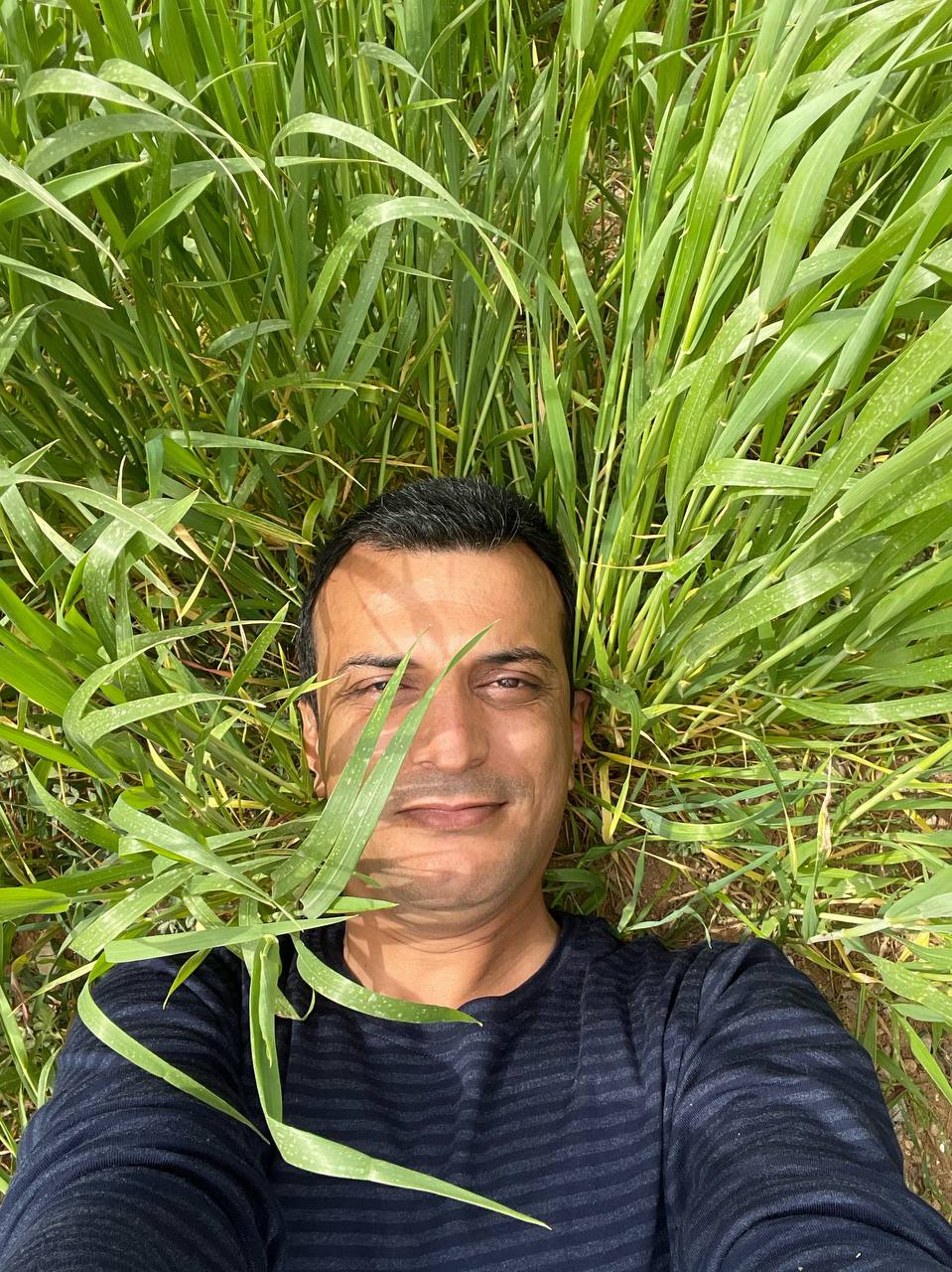 Reza_Seif avatar
