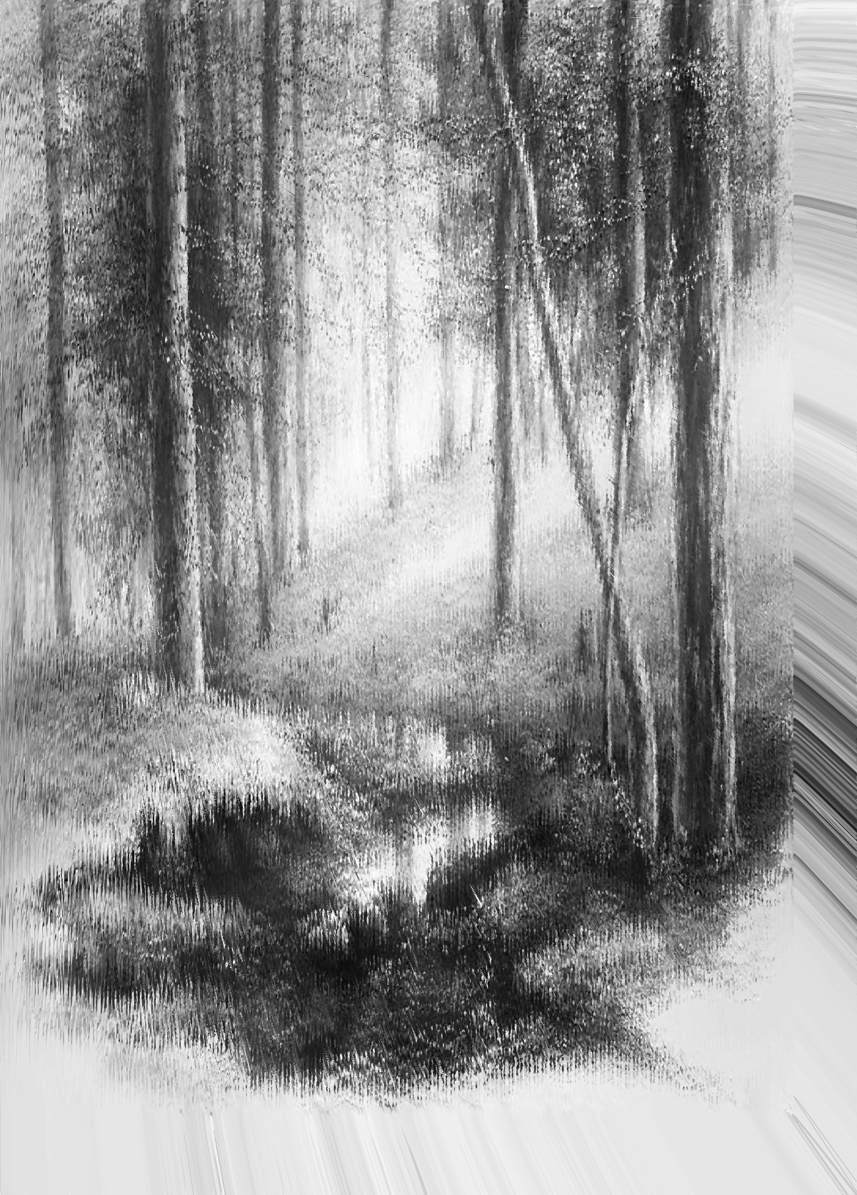 artfor-nature avatar