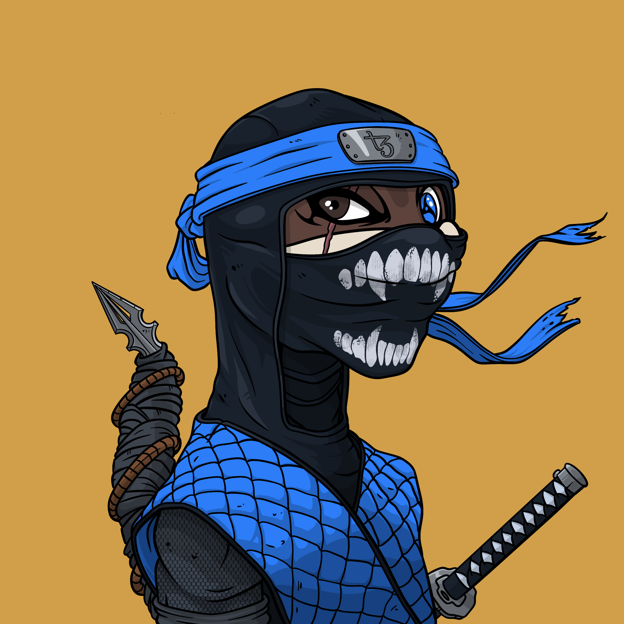 codecrafting avatar