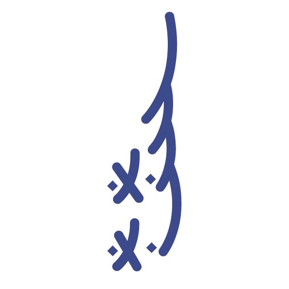 monnogram avatar