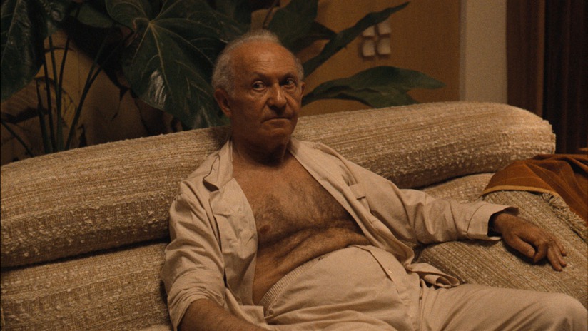 Hyman Roth avatar