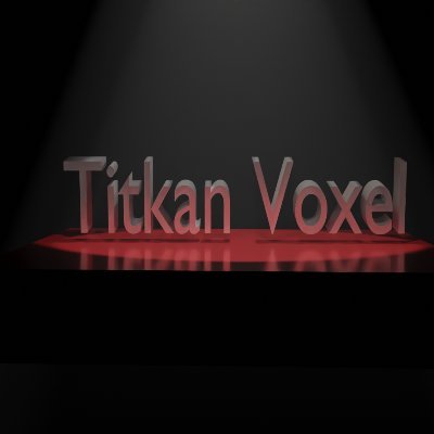Titkan voxel avatar