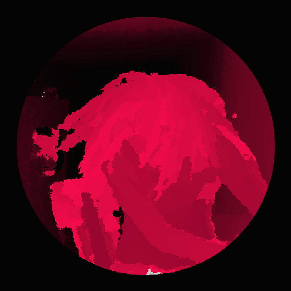 meezwhite avatar