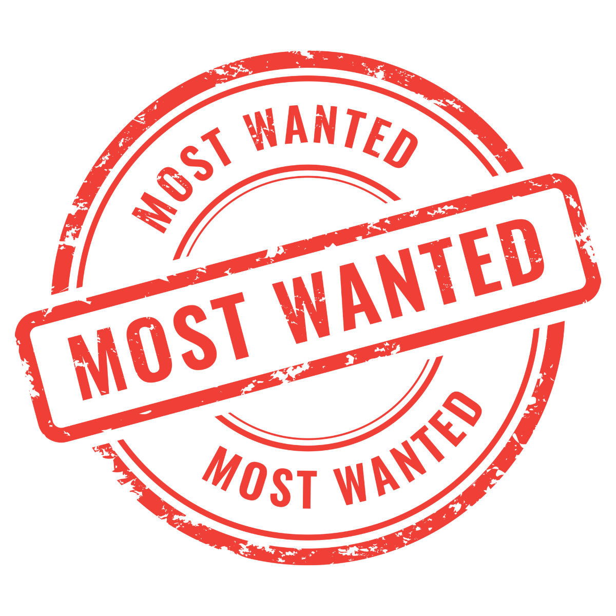 Most Wanted avatar