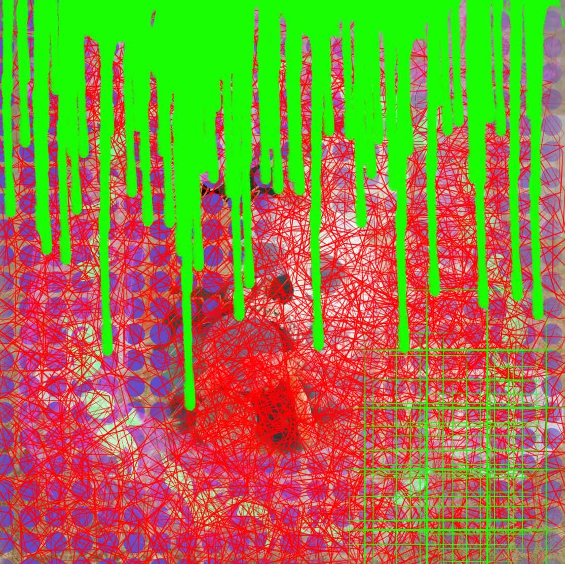 tz1fnZvH…T3b6g3 avatar