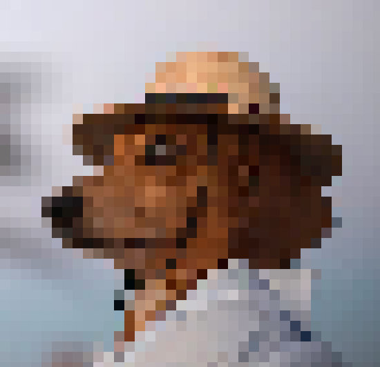 jarvisccc avatar