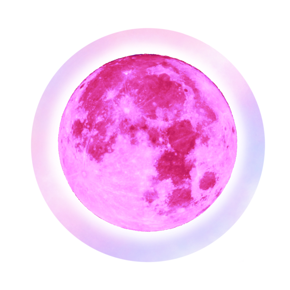 FX-Moons avatar