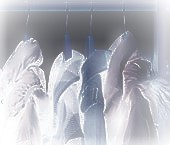 bsp(otg) avatar