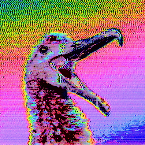 Artpelican avatar