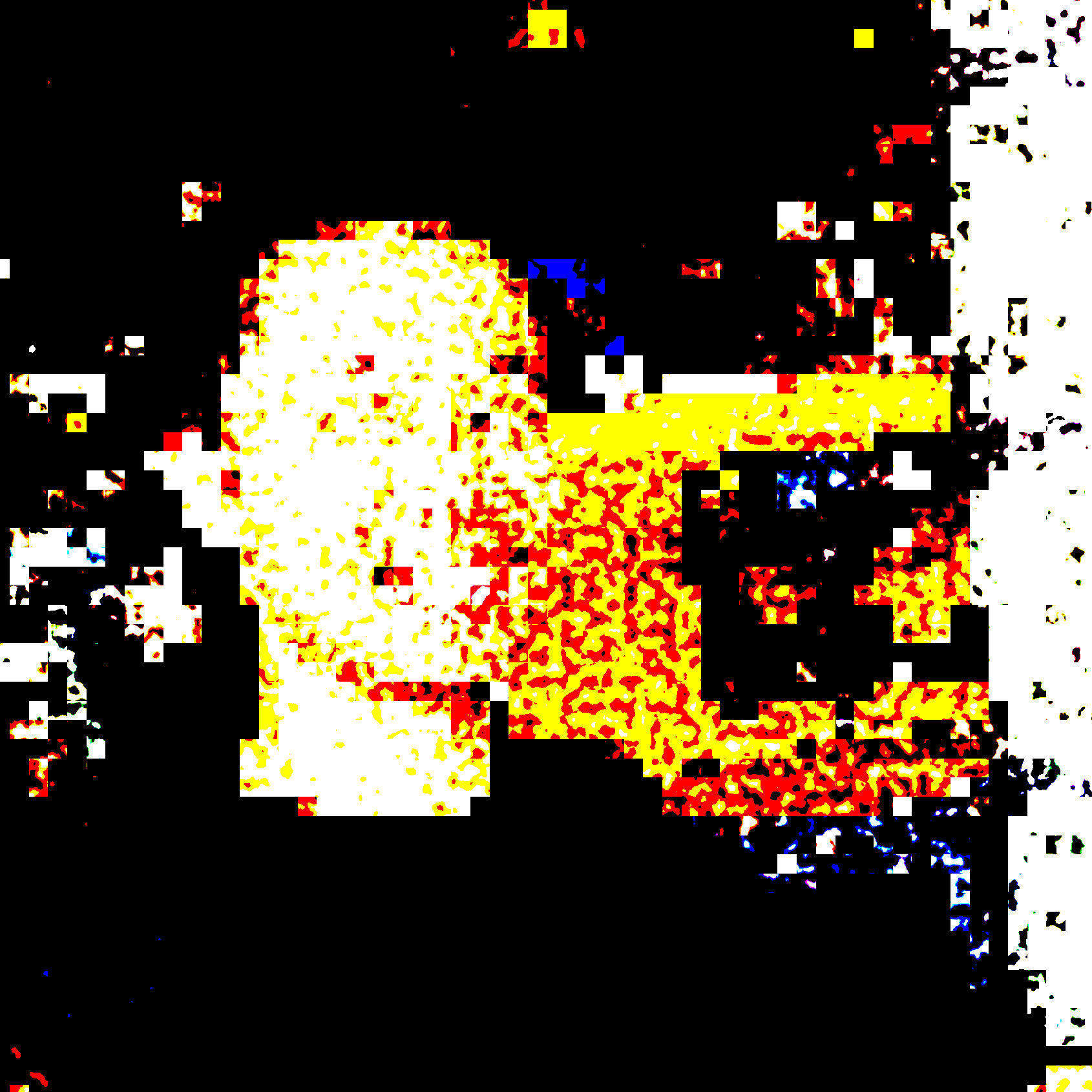 bwu avatar
