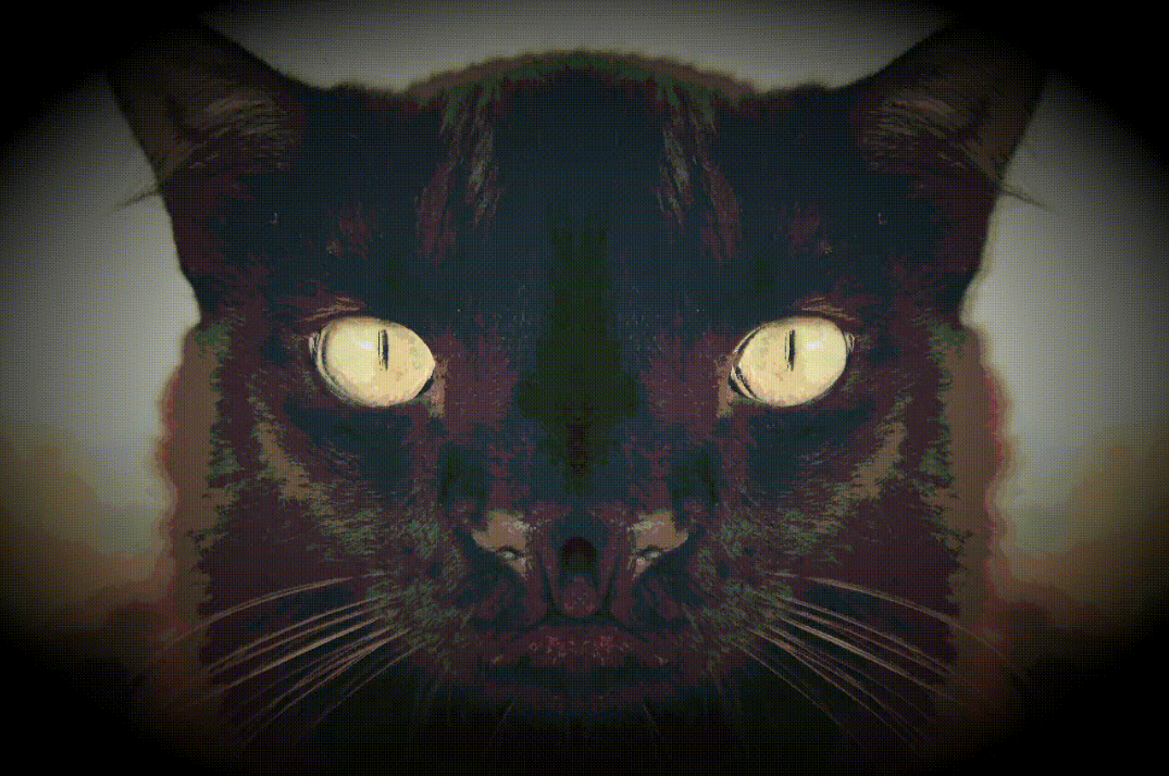 crypt0becky avatar