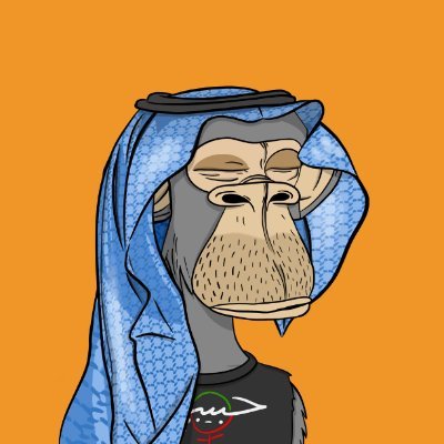 habibixyz avatar