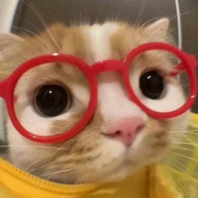 Marcus Vinícius avatar